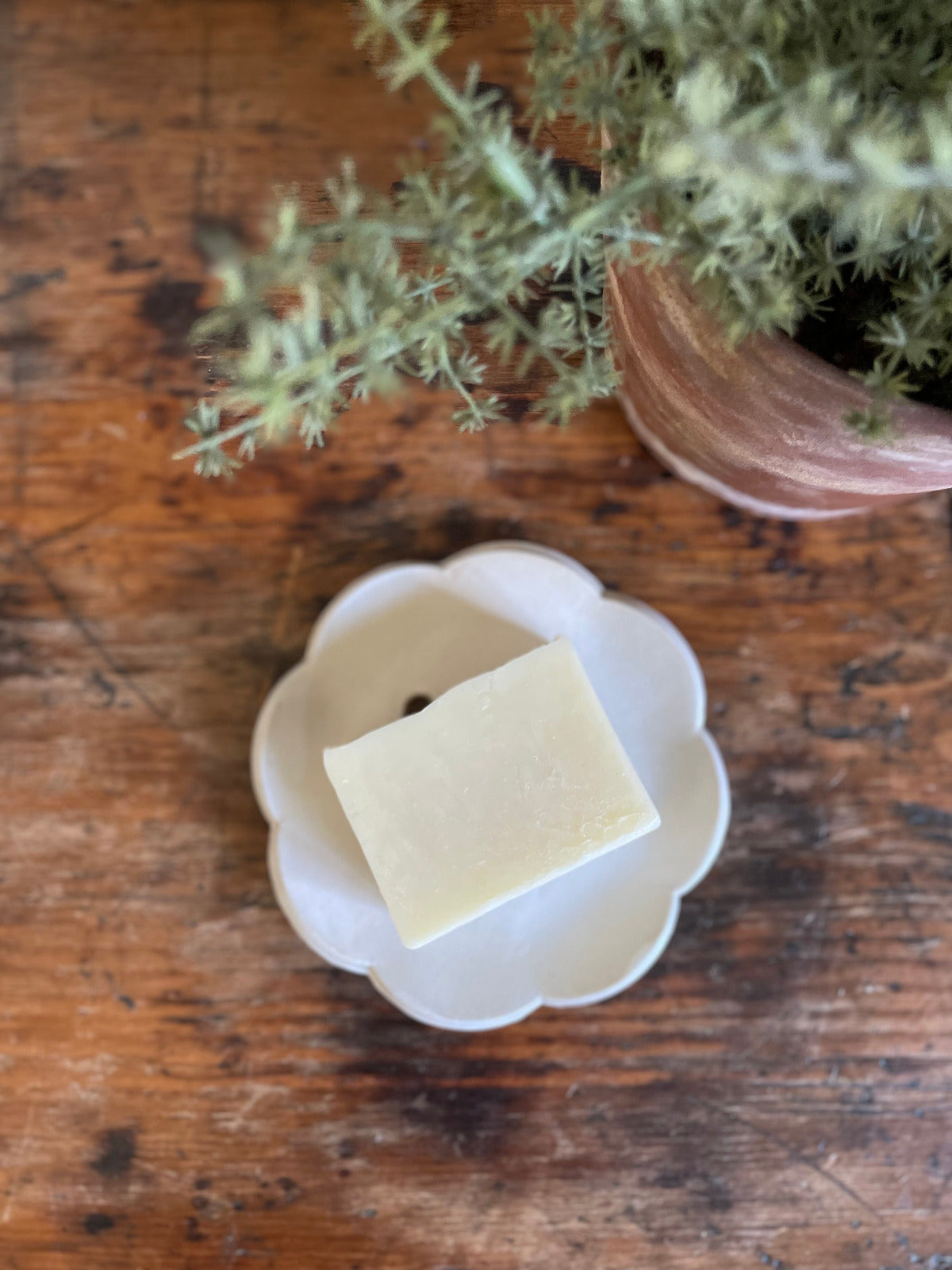 Handmade Scalloped Edge Self Draining Soap Dish In Matte White