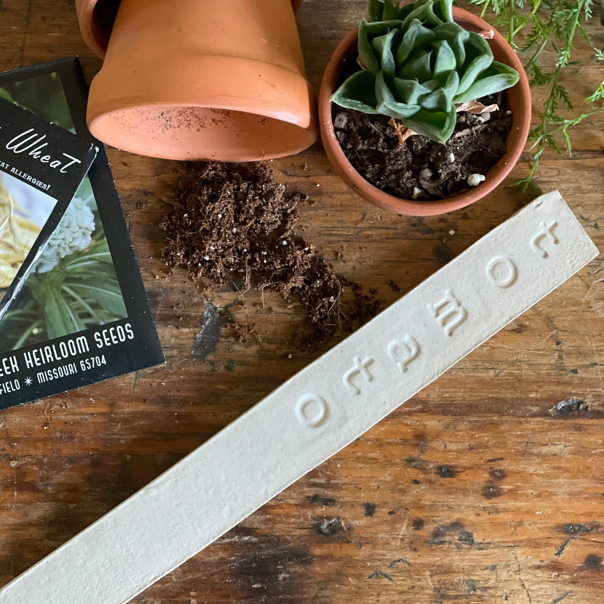 Succulent plant, soil, seed packet, and white plant label on a wooden surface
