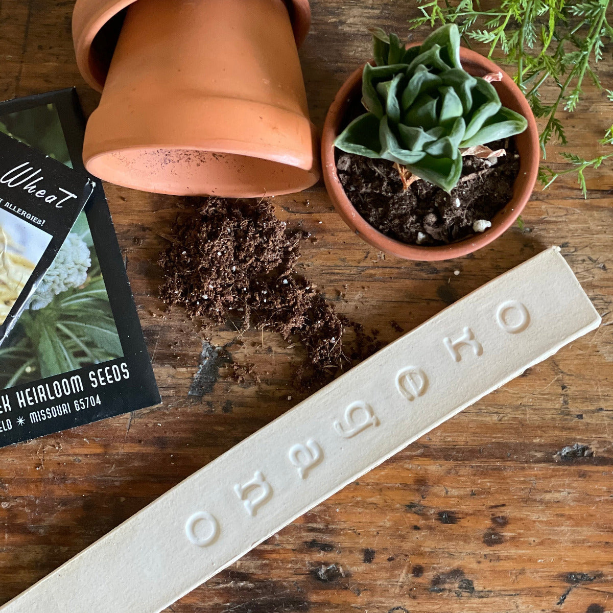Succulent plant in a pot, soil, and seed packet. Product for sale is a matte white oregano garden marker.